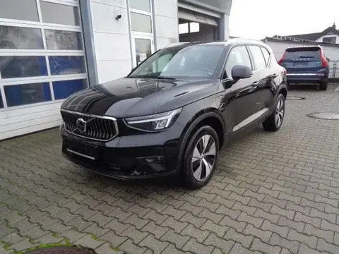 Used VOLVO XC40 Hybrid 2022 Ad 