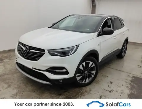 Used OPEL GRANDLAND Petrol 2019 Ad 