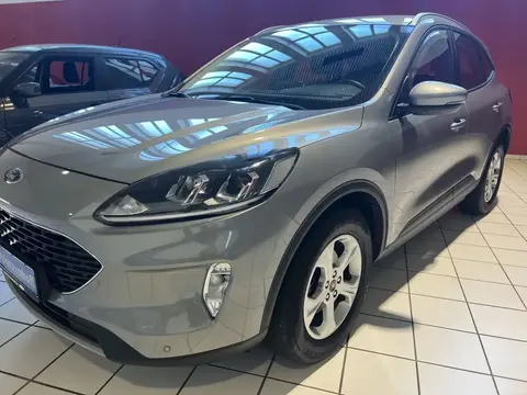 Used FORD KUGA Diesel 2021 Ad 