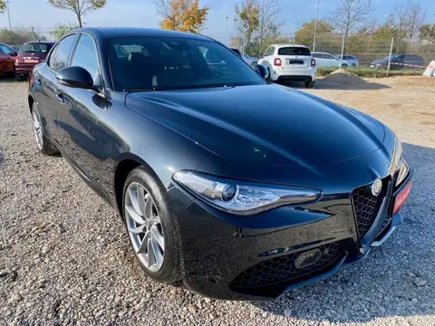 Used ALFA ROMEO GIULIA Petrol 2023 Ad 