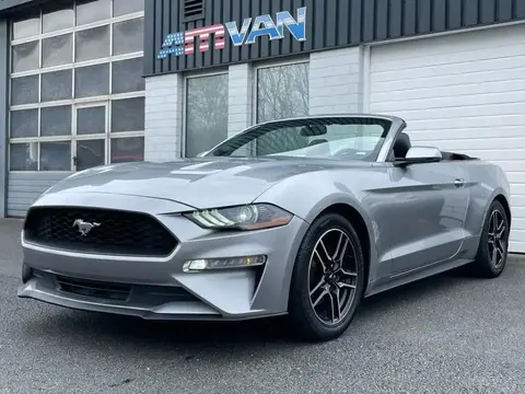 Annonce FORD MUSTANG Essence 2019 d'occasion 