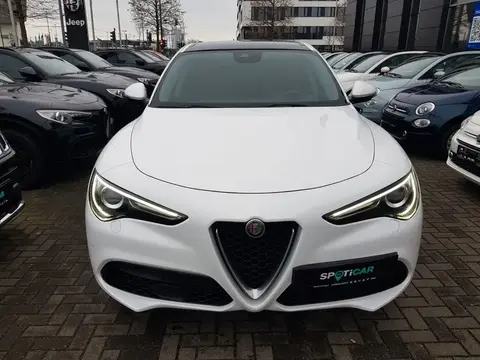 Used ALFA ROMEO STELVIO Diesel 2019 Ad 