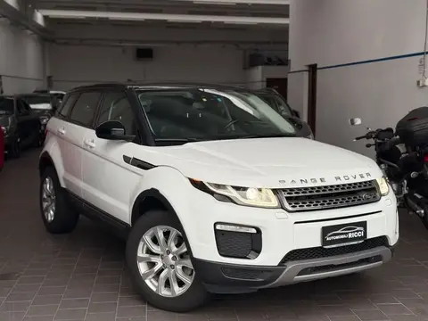 Used LAND ROVER RANGE ROVER EVOQUE Diesel 2017 Ad 