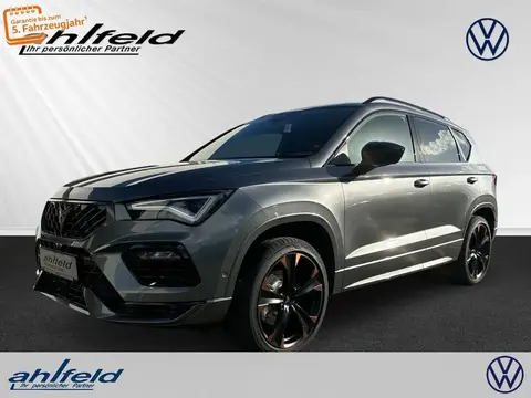 Annonce CUPRA ATECA Essence 2024 d'occasion 