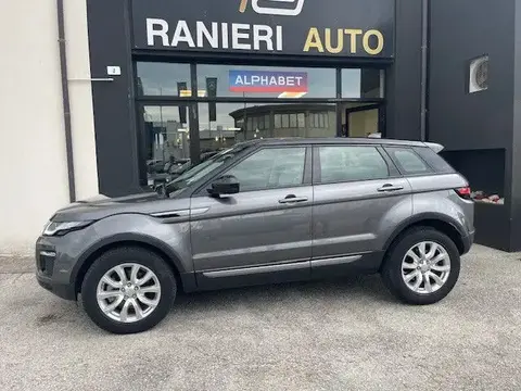 Used LAND ROVER RANGE ROVER EVOQUE Diesel 2019 Ad 