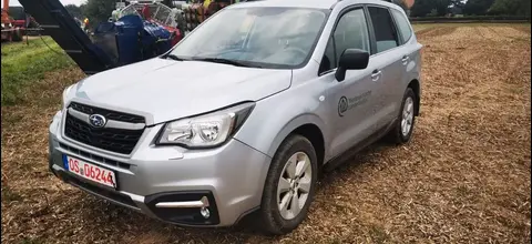 Used SUBARU FORESTER Diesel 2017 Ad 