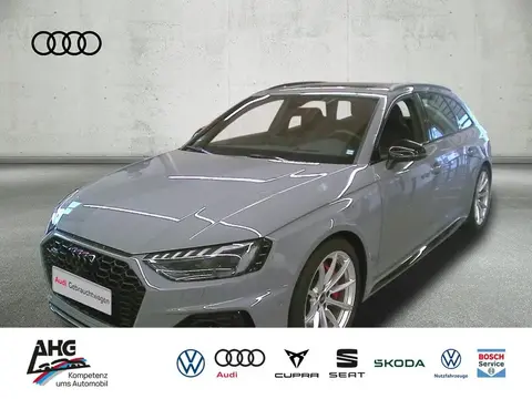 Used AUDI RS4 Petrol 2022 Ad 