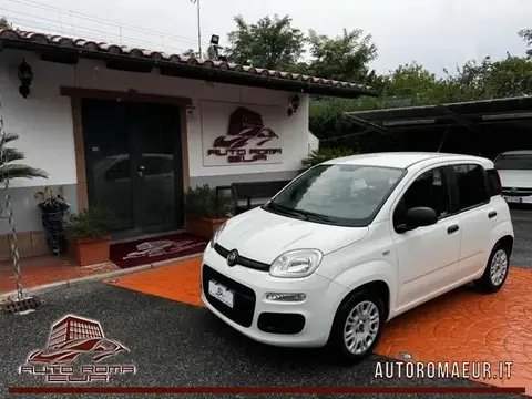 Annonce FIAT PANDA Essence 2019 d'occasion 