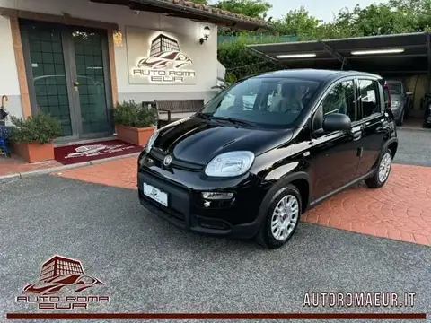 Used FIAT PANDA Hybrid 2024 Ad 