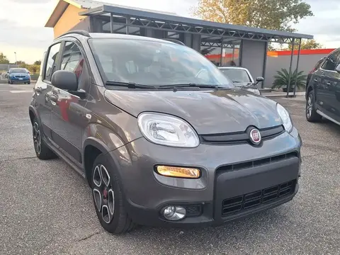 Used FIAT PANDA Hybrid 2022 Ad 