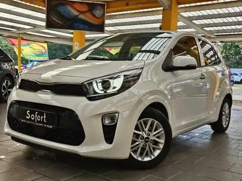 Used KIA PICANTO Petrol 2024 Ad 