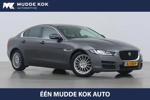 Used JAGUAR XE Diesel 2016 Ad 