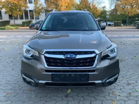 Used SUBARU FORESTER LPG 2016 Ad 