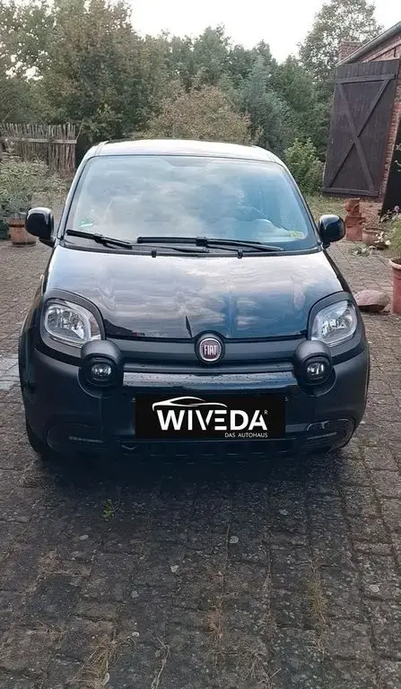 Used FIAT PANDA Petrol 2023 Ad 