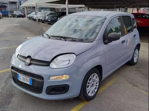 Annonce FIAT PANDA Hybride 2021 d'occasion 