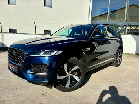 Used JAGUAR F-PACE Petrol 2022 Ad 