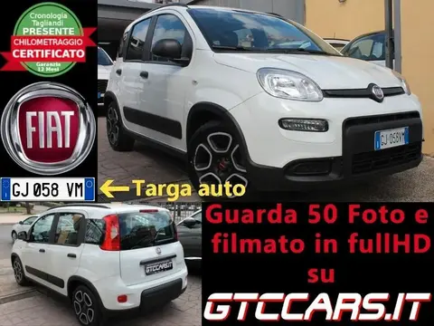 Used FIAT PANDA Hybrid 2022 Ad 