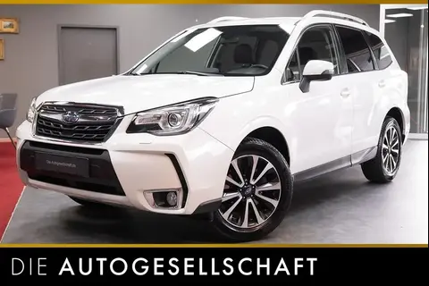 Used SUBARU FORESTER Petrol 2017 Ad 