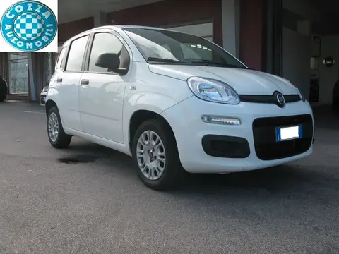 Used FIAT PANDA Petrol 2020 Ad 