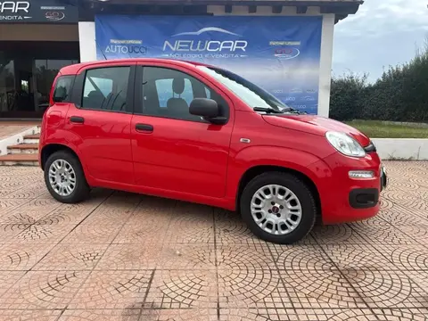 Used FIAT PANDA Petrol 2020 Ad 