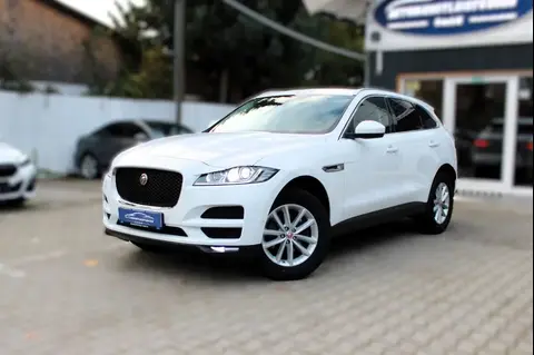 Annonce JAGUAR F-PACE Diesel 2017 d'occasion 