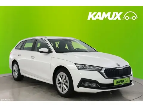 Annonce SKODA OCTAVIA Diesel 2021 d'occasion 