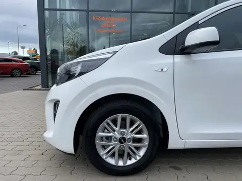 Used KIA PICANTO Petrol 2024 Ad 