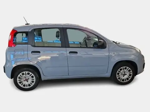 Annonce FIAT PANDA Essence 2020 d'occasion 