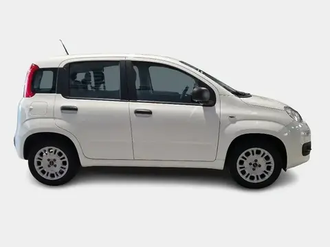 Used FIAT PANDA Petrol 2020 Ad 