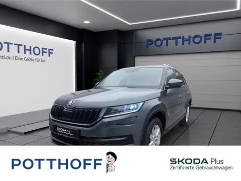 Used SKODA KODIAQ Diesel 2021 Ad 