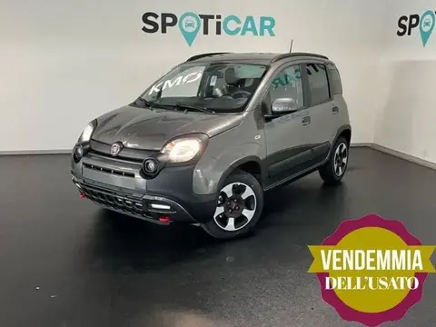 Used FIAT PANDA Hybrid 2023 Ad 