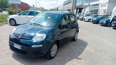 Used FIAT PANDA Hybrid 2021 Ad 