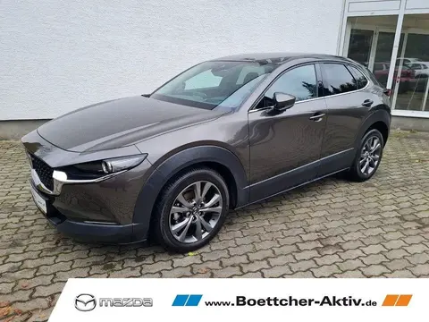 Annonce MAZDA CX-30 Essence 2020 d'occasion 