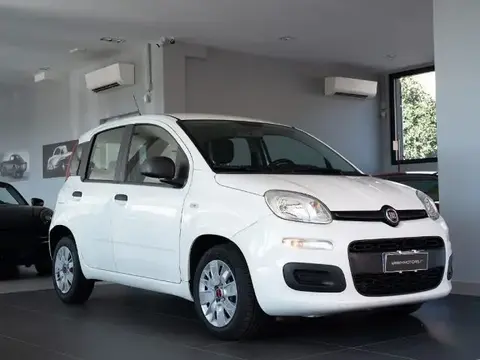 Used FIAT PANDA Diesel 2017 Ad 