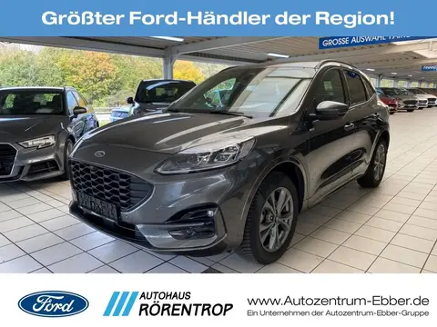 Used FORD KUGA Hybrid 2023 Ad 