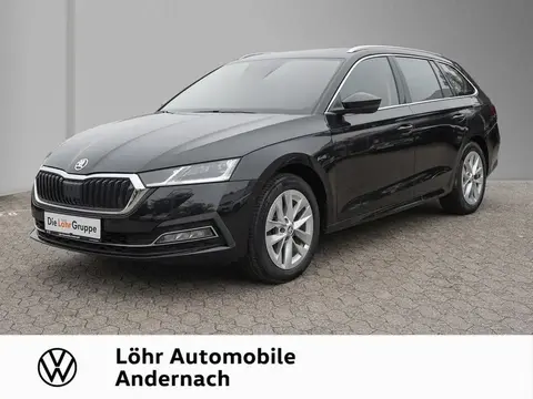 Annonce SKODA OCTAVIA Diesel 2020 d'occasion 