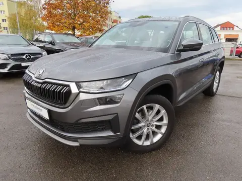 Annonce SKODA KODIAQ Essence 2023 d'occasion 