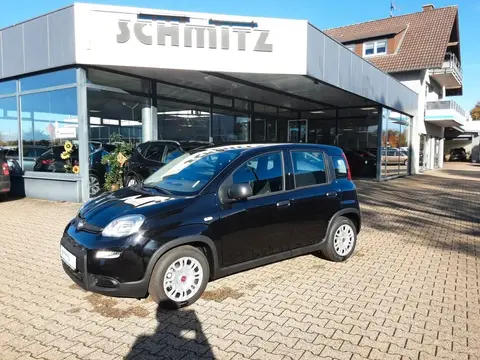 Used FIAT PANDA Petrol 2024 Ad 