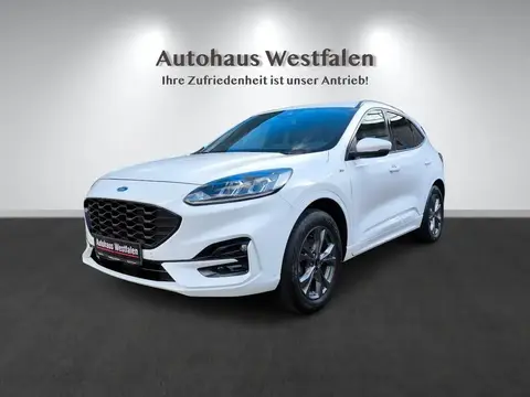 Used FORD KUGA Diesel 2021 Ad 