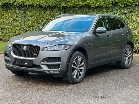 Used JAGUAR F-PACE Petrol 2017 Ad 