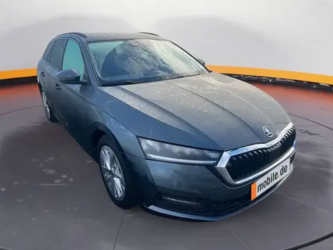 Annonce SKODA OCTAVIA Essence 2021 d'occasion 