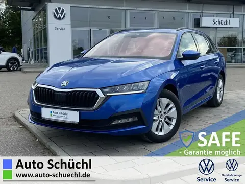 Used SKODA OCTAVIA Diesel 2021 Ad 