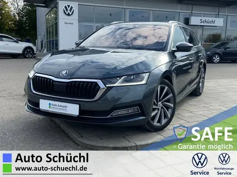 Annonce SKODA OCTAVIA Diesel 2020 d'occasion 