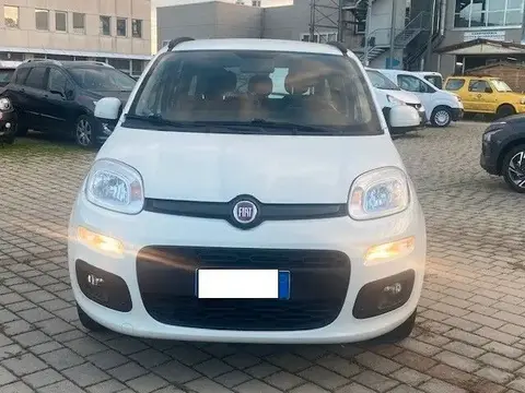 Used FIAT PANDA Petrol 2018 Ad 