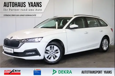 Annonce SKODA OCTAVIA Diesel 2020 d'occasion 