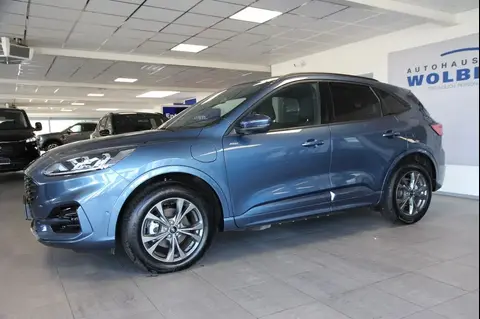 Used FORD KUGA Hybrid 2022 Ad 