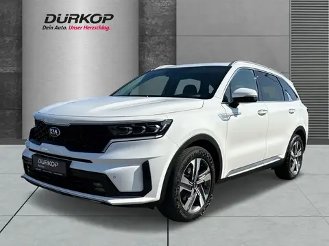 Used KIA SORENTO Hybrid 2021 Ad 