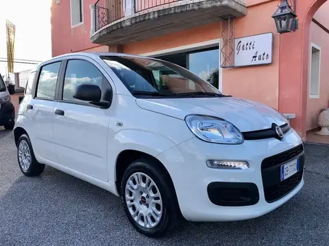 Used FIAT PANDA Petrol 2020 Ad 