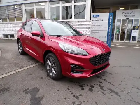 Annonce FORD KUGA Hybride 2023 d'occasion 