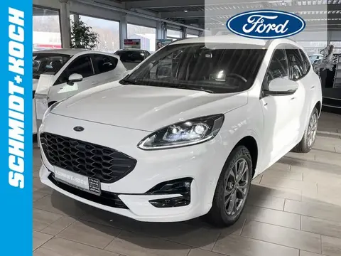 Used FORD KUGA Hybrid 2024 Ad 